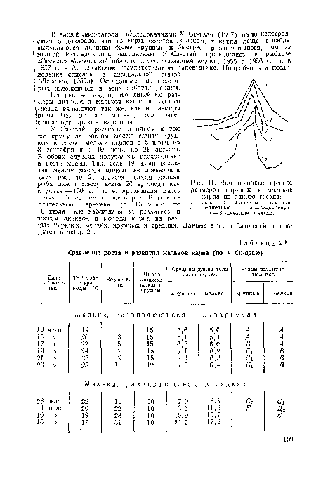 В обоих случаях получалось расхождение в росте массы. Так, если 19 июня различия между массой молоди не превышали двух раз, то 21 августа самая мелкая рыба имела массу всего 20 г, тогда как крупная — 130 г, т. е. превышала массу мелких более чем в шесть раз. В течение длительного времени (с 13 июня по 16 июля) мы наблюдали за развитием и ростом личинок и молоди карпа из разных икринок, мелких, крупных и средних. Данные этих наблюдений приводятся в табл. 29.
