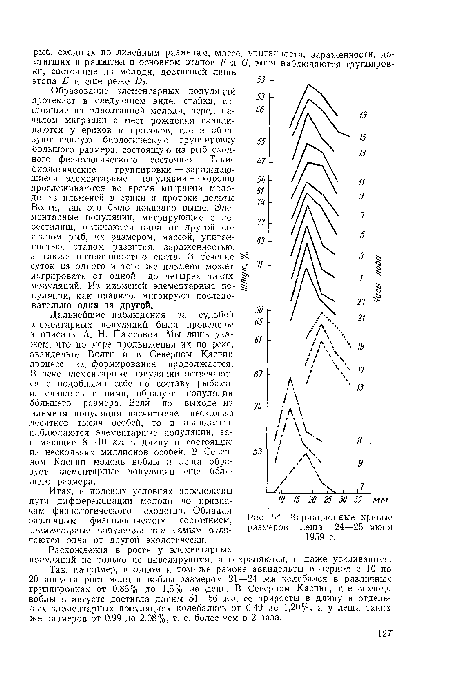 Вариационные кривые размеров леща 24—25 июня 1959 г.