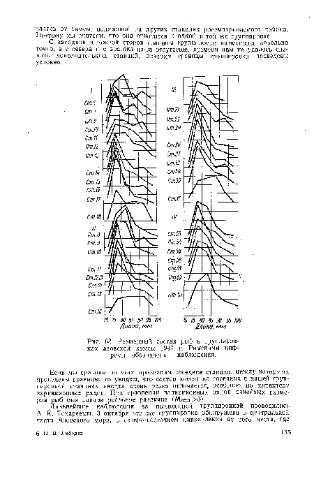 Размерный состав рыб в группировках азовской хамсы 1947 г. Римскими циф-р?ми обозначены наблюдения.