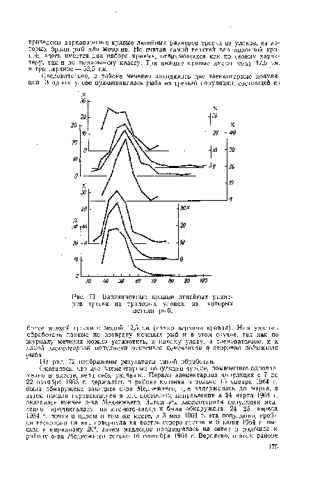 Вариационные кривые линейных размеров трески из траловых уловов, из которых метили рыб.