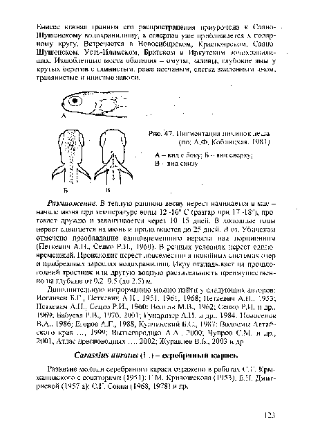 Пигментация личинок леща (по