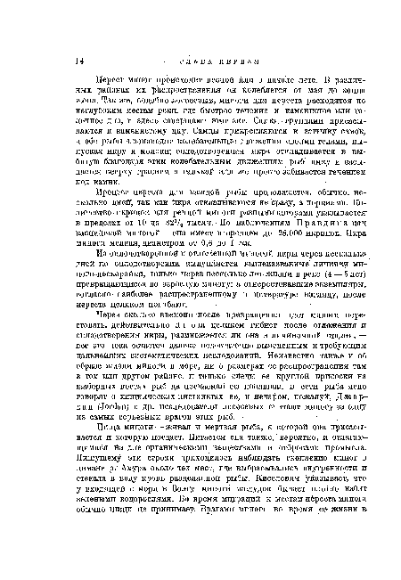 Процесс нереста для каждой рыбы продолжается, обычно, несколько дней , так как икра откладываются не сразу, а порциями. Количество-икринок для речной миноги разными авторами указывается в пределах от 10 до 32V2 тысяч. По наблюдениям Правдина над каспийской миногой — она имеет в среднем до 28.000 икринок. Икра миноги мелкая, диаметром от 0,6 до 1 мм.