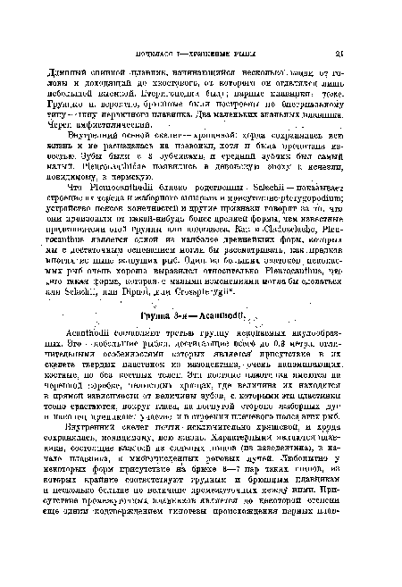 Длинный спинной плавник, начинающийся несколько, кзади от головы и доходящий до хвостового, от которого он отделялся лишь небольшой выемкой. Птеригоподии были; парные плавники — тоже. Грудные и, вероятно, брюшные были построены по бисериапьному типу — типу первичного плавника. Два маленьких анальных плавника. Череп амфистилический.