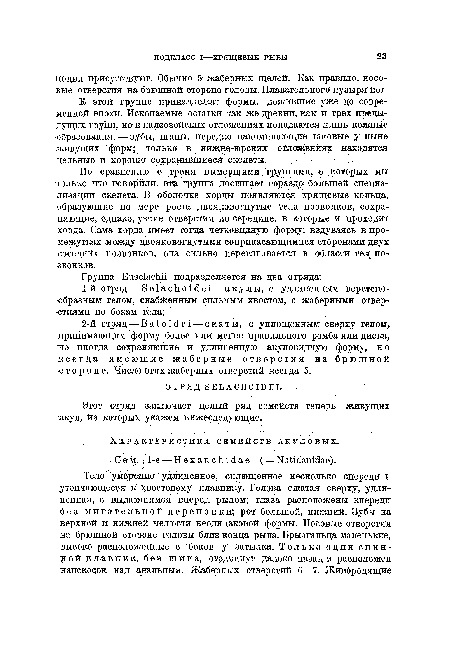 Этот отряд заключает целый ряд семейств теперь живущих акул, из которых укажем нижеследующие.