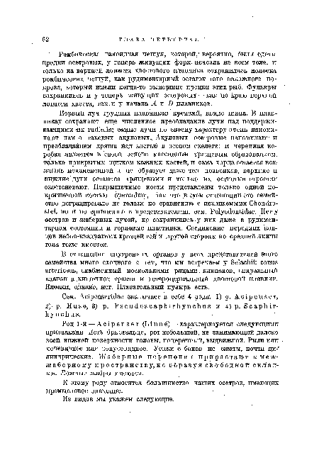 Ромбическая ганоидная чешуя, которой, вероятно, были одеты предки осетровых, у теперь живущих форм исчезла на всем теле, и только на верхней лопасти хвостового плавника сохранилась полоска ромбических чешуй, как рудиментарный остаток того накожного покрова, который имели когда-то вымершие предки этих рыб. Фулькры сохранились и у теперь живущих осетровых —как по краю верхней лопасти хвоста, так и у начала i и 5 плавников.