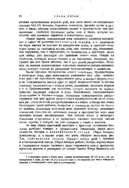 Более глубокое исследование жизни сельдевых, произведенное в последние годы, дало возможность установить еще одно свойство этих рыб — их способность образовывать расы и местные формы, если и не отличающиеся иногда друг от друга морфологически, то вполне отличные биологически темпом роста, размерами, временем нереста и т. п. Существование рас сельдевых говорит косвенно за ограниченность миграций сельдей в море. Повидимому, определенными физическими и биологическими условиями ограничивается распро-. странение той или другой расы в море и изолированность ее от соседних рас. Когда-то очень распространенное и в науке, а теперь еще очень популярное среди рыбаков, воззрение о кочеваниях сельди из каких-то далеких, неведомых мест моря надо признать поэтому лишенным основания; хотя, все же, кочевание сельди в пространстве моря надо признать весьма значительным. Как увидим ниже, у некоторых сельдевых встречается и то загадочное явление массовой гибели после нереста, о котором мы уже говорили в главе о миногах.