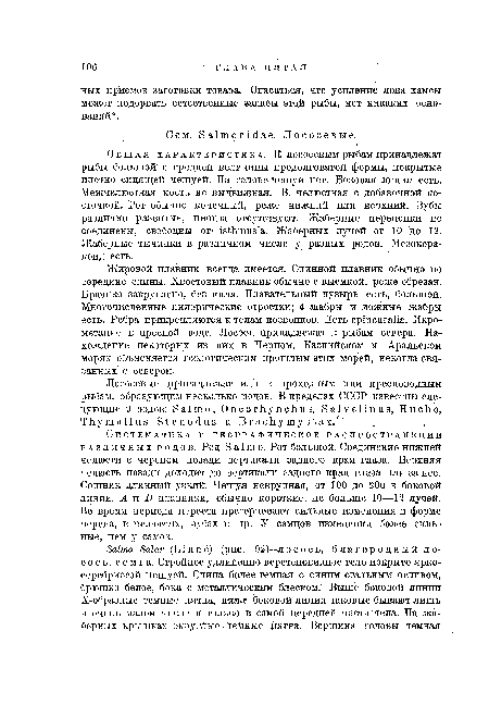 Систематика и географическое распространение различных родов. Род Salmo. Рот большой. Соединение нижней челюсти с черепом позади вертикали заднего края глаза. Верхняя челюсть позади доходит до вертикали заднего края глаза или за нее. Сошник длинный узкий. Чешуя некрупная, от 100 до 200 в боковой линии. А и D плавники, обычно короткие, не больше 10—12 лучей. Во время периода нереста претерпевают сильные изменения в форме черепа, в челюстях, зубах и пр. У самцов изменения более сильные, чем у самок.