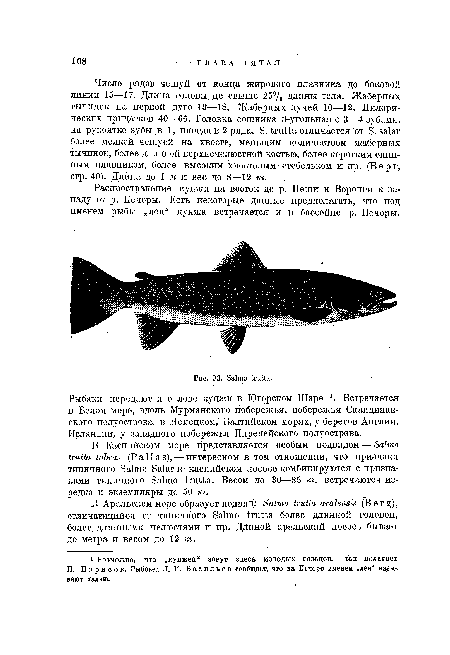 Распространение кунжи на восток до р. Пеши и Воронги к западу от р. Печоры. Есть некоторые данные предполагать, что под именем рыбы „лен“ кунжа встречается и в бассейне р. Печоры.