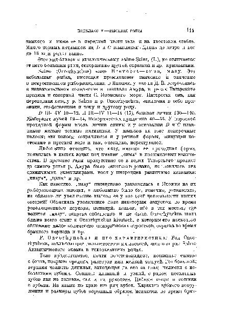 Этот вид близок к атлантическому salmo Salar, (L.), но отличается от него большим ртом, совершенно другой окраской и др. признаками.