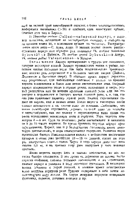 После нереста хариус хоть и сильно истощается, но все же очень быстро отъедается. В это время он держится на плесах выше порогов стайками, питаясь водными насекомыми и их личинками; хватает хариус и упавших в воду наземных насекомых. В некоторых местах питается и икрой лососей; в осеннее время осмотренные мною желудки хариусов реки Туломы содержали в себе почти исключительно икру лосося. На Амуре желудки хариусов содержали фриганид, поденок, личинок комаров и пр.