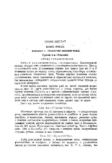 Общая характеристика, систематика. Плавательный пузырь обычно есть, соединяется с пищеварительным трактом. Дужка mesocoracoid’a есть. В плавниках обычно нет шипов или же D и Р плавники имеют по одному шипу, образованному благодаря окостенению сегментов членистого луча. Четыре первых позвонка сильно видоизменены, часто срастаются и образуют ряд маленьких косточек, так называемых „веберовых“, соединяющих плавательный пузырь со слуховым аппаратом.