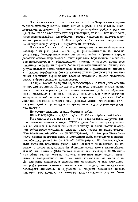 Пищей вырезуба и кутума служат главным образом моллюски.