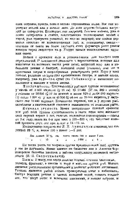 По’ловая зрелость. Время наступления половой зрелоста для рыб этой группы представляется в таком виде: елец начинает свой первый нерест 2 лет, голавль становится половозрелым — самец на 3-м году, самка на 4-м при весе в 100—200 г; язь достигает половой зрелости двух лет при длине в 12—15 см.