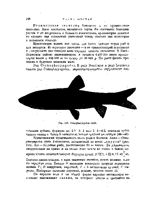 Красноперка важна как пища для более ценных пород рыб и для наживки. Ее серьезное значение — в ее сравнительной дешевизне и доступности для питания мало имущих классов населения. В Касп.-Волжском районе вылавливалось в среднем 6 459 200 штук красноперки весом в 635 056 т на сумму до 48 638 р. На расширение промысла в будущем надежды мало.