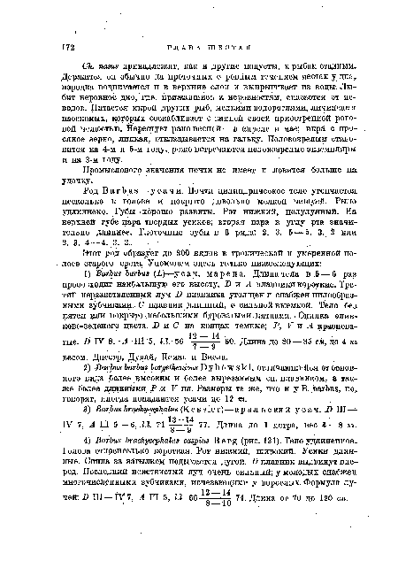 Промыслового значения почти не имеет и ловится больше на удочку.