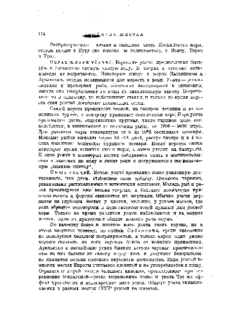 Пища усачей. Ночью усачи проявляют более усиленную деятельность, чем днем, отыскивая свою добычу. Питаются червями, различными растительными и животными остатками. Молодь рыб и раков преследуется ими весьма усердно, и большое количество приплода лосося и форели становятся их жертвами. Обычно усачи держатся на глубоких местах у плотин, мельниц, у устоев мостов» где вода образует водовороты и куда сносится водой нужный для усачей корм. Только во время разливов усачи наблюдаются и на мелких местах, куда их привлекает обилие всякого рода корма.