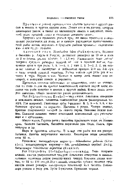 Промысла коньков собственно не существует, если не считать лов их подо льдом на крючок наживленной соленой икрой кеты; ловится эта рыба попутно в невода с другой рыбой. Имеет лишь местное значение. Общее количество улова незначительно.