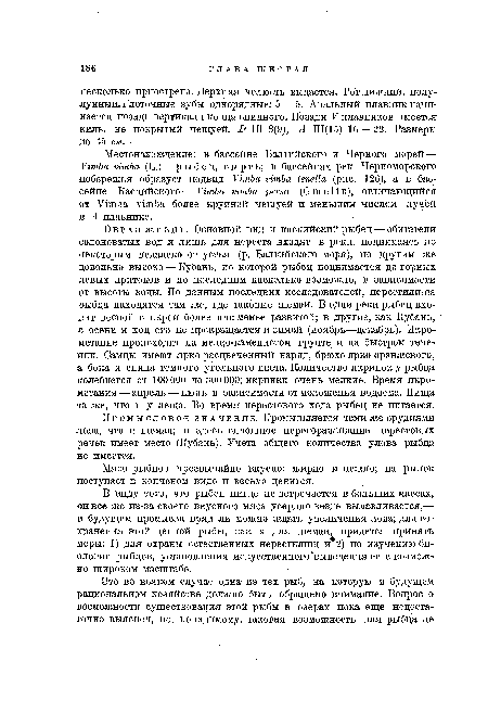 В виду того, что рыбец нигде не встречается в больших массах, он все же из-за своего вкусного мяса усердно везде вылавливается,— в будущем промысла вряд ли можно ждать увеличения лова; для сохранения этой ценной рыбы, как и для шемаи, придется принять меры: 1) для охраны естественных нерестилищ и 2) по изучению биологии рыбцов, установления искусственного выведения ее в возможно широком масштабе.