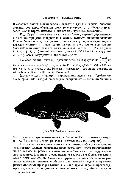 Каспийского и Аральского морей; в бассейне Тихого океана от Амура к югу. Во многих местах разведен искусственно (С. Америка).