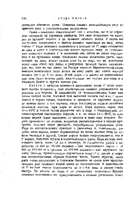 Сазан — животное общественное: как в молодом, так и во взрослом состоянии он держится стайками. Эти стаи возрастают во много раз ко времени нереста и ко времени зймнего покоя. У карпа мы опять-таки встречаемся с фактом зимнего залегания на ямы; лишь только воды начинает понижаться и доходит до 7°, карп собирается на ямы и здесь в значительных массах проводит зиму до наступления весеннего подъема Ь° в состоянии сна, почти не делая передвижек и не принимая пищи. Насколько велико количество рыбы, залегающей на ямы, можно судить хотя бы по тому, что на некоторых реках один обмет ямы давал в результате десятки тысяч экземпляров; так, еще не так давно; на Уссури выше ст. Казакевичевой облов неводом залегающей подо льдом на зиму рыбы дал одних мерных сазанов (от 6 до 8 кг) около 20 000 штук, — в расчет не принималась при этом более мелкая рыба. Аналогичные же случаи известны и в низовьях Волги и других южных рек.