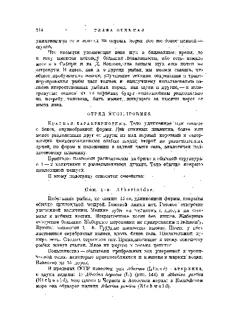 Брюшные плавники расположены на брюхе и обычной структуры с 1 — 2 колючками и разветвленными ■ лучами. Тело обычно покрыто циклоидной чешуей. .