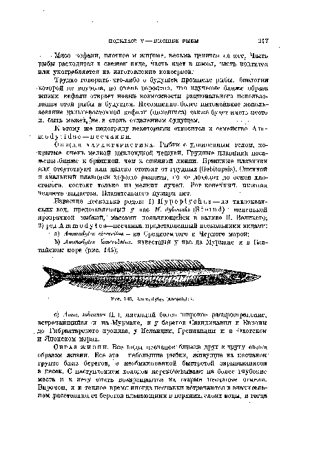 Общая характеристика. Рыбки с удлиненным телом, покрытые очень мелкой циклоидной чешуей. Грудные плавники посажены -ближе к брюшной, чем к спинной линии. Брюшные плавники или отсутствуют или далеко отстоят от грудных (ОоЫ1,о т5). Спинной и анальный плавники хорошо развиты, но не доходят до основ хвостового, состоят только из мелких лучей. Рот конечный, нижняя челюсть выдается. Плавательного пузыря нет.