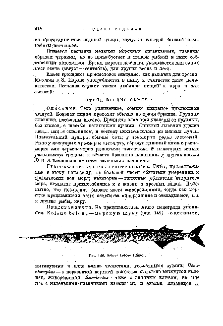 Географическое распространение. Рыбы, принадлежа-..щие к этому подотряду, по большей части обитатели умеренных и тропических зон моря; некоторые — типичные обитатели открытого моря, немногие приспособились и к жизни в пресных водах. Любопытно, что последние бывают часто живородящими, тогда как морские представители этого семейства яйцеродящие и откладывают, как и другие рыбы, икру.