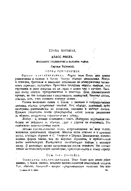 ПОДКЛАСС TELEOSTOMI — ВЫСШИЕ РЫБЫ.