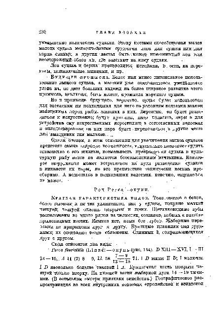 Лов судака и берша производится неводами, в сети, на переметы, наживленные, живцами, и пр.