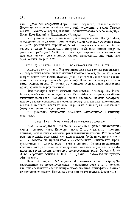 Этот подотряд тесным образом связывается с подотрядом Регсь Гогтеэ, особенно при посредстве сем. 8еггат<1ае, с которым у наиболее типичных форм этого подотряда много сходного. Внутри подотряда можно указать связывающие звенья между отдельными семействами, так что в систематическом отношении рыбы этого подотряда составляют более или менее тесную группу.