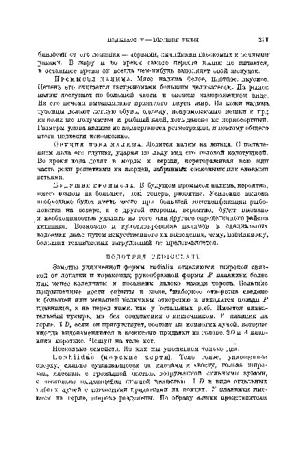 Заметно удлиненной формы гаШаИа отделяются широкой связкой от лопатки и коракоида; рукообразной формы Р плавники более или менее коленчаты и посажены далеко назади черепа. Большие покрышечные кости скрыты в коже, жаберное отверстие сведена к большей или меньшей величины отверстию и находится позади Р плавников, а не перед ними, как у остальных рыб. Имеется плавательный пузырь, но без соединения с кишечником. V плавник на горле. 1 В, если он присутствует, состоит из немногих лучей, которые иногда видоизменяются в кожистые придатки на голове. 2В и А плавники короткие. Чешуй на теле нет.