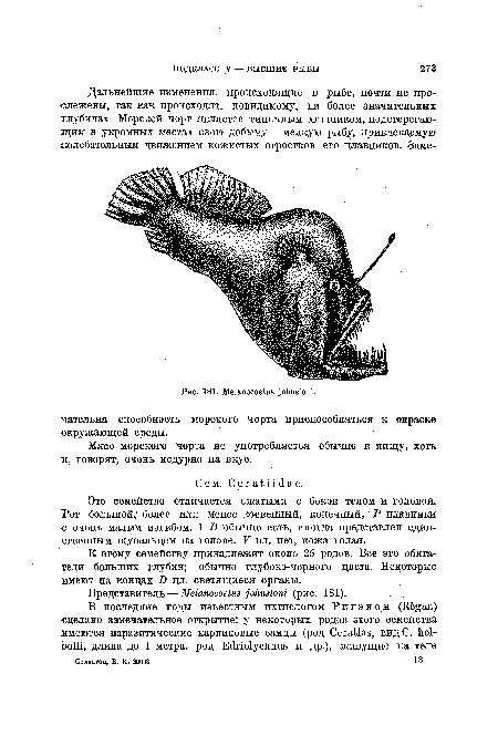 Это семейство отличается сжатыми с боков телом и головой. Рот большой, более или менее косвенный, конечный, Р плавники •с очень малым изгибом. 1 D обычно есть, иногда представлен единственным щупальцем на голове. V пл. нет, кожа голая.