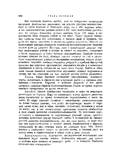 Пища. Пищу камбалы составляют ракообразные, моллюски, черви, иглокожие, а также мелкие и крупные рыбы—у крупных камбаловых—палтусов. Впрочем, в молодом возрасте и эти рыбы питаются главным образом беспозвоночными. Только во время нереста камбалы прекращают на время питаться.