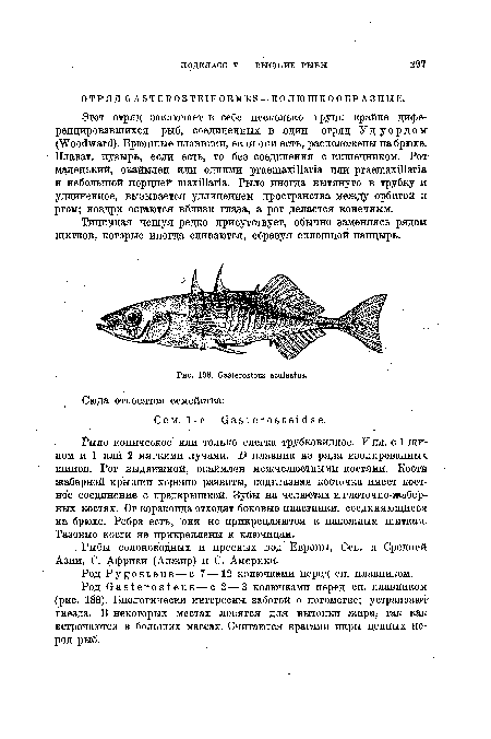 Рыбы солоноводных и пресных вод Европы, Сев. и Средней Азии, С. Африки (Алжир) и С. Америки.