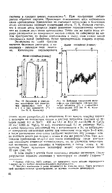 Экспансия и контракция меланофора при размыкании переменного тока (].) в 2 V и при замыкании ({) (по Н. К. Кольцову)