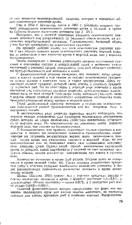 Уже в 1858 г. Штеделер, затем в 1905 г. Баглиони вскрыли причину повышенного осмотического давления крови у селяхий: в крови, их найдено большое количество мочевины (до 2—3%).