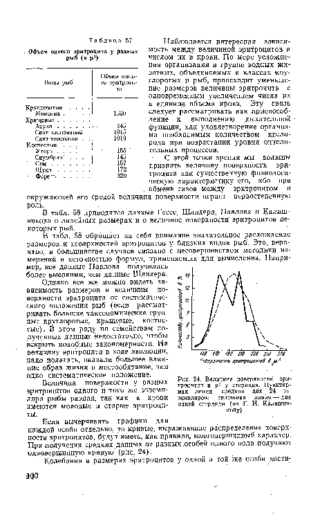 Величина поверхности эритроцитов в ц! у стерляди. Пунктирная линия — средняя для 24 эк земпляров; сплошная линия — для одной стерляди (по -Г. Н. Калашни-