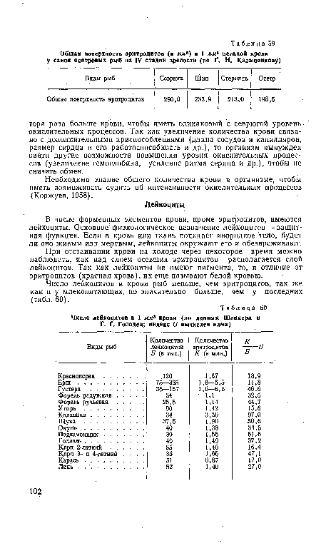 При отстаивании крови на холоде через некоторое время можно наблюдать, как над слоем осевших эритроцитов располагается слой лейкоцитов. Так как лейкоциты не имеют пигмента, то, в отличие от эритроцитов (красная кровь), их еще называют белой кровью.