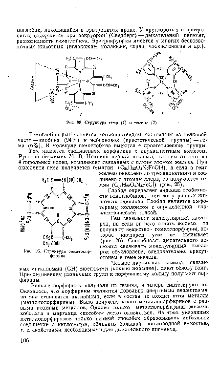 Структура тема (1) и гемина (2)