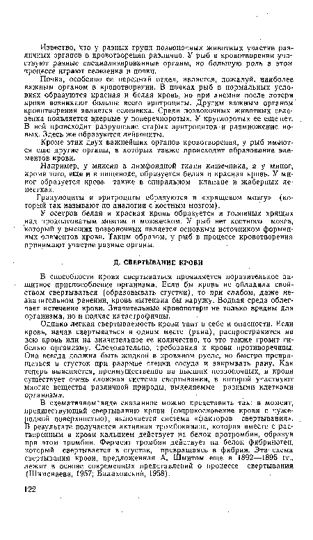 В схематичном‘виде сказанное можно представить так: в момент, предшествующий свертыванию крови (соприкосновение крови с чужеродной поверхностью), включается система «факторов свертывания». В результате получается активная тромбокиназа, которая вместе с растворенным в крови кальцием действует на белок протромбин, образуя при этом тромбин. Фермент тромбин действует на белок фибриноген, который свертывается в сгусток, превращаясь в фибрин. Эта схема свертывания крови, предложенная А. Шмитом еще в 1892—1895 гг., лежит в основе современных представлений о процессе свертывания (Шимонаева, 1957; Балаховский, 1958).