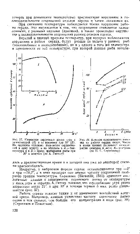 Изменение сердечного ритма угря с температурой (А) и со временем при 30° (Б). На ординате отложено количество сердцебиений в одну минуту, а на абсциссе в А—температура ив Б — время пребывания рыбы при 30° в минутах (по А. Гиттеру)
