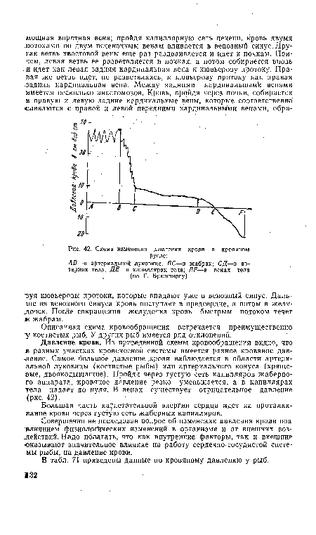 Схема изменения давления крови в кровяном