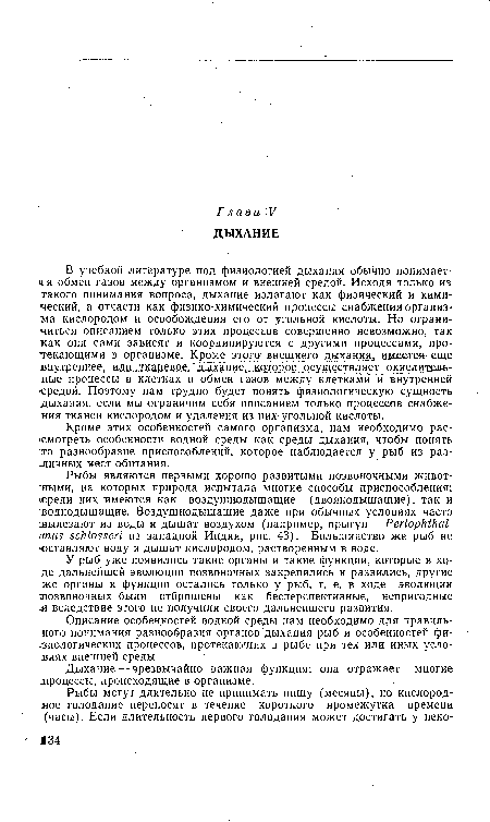 Кроме этих особенностей самого организма, нам необходимо рассмотреть особенности водной среды как среды дыхания, чтобы понять то разнообразие приспособлений, которое наблюдается у рыб из различных мест обитания.