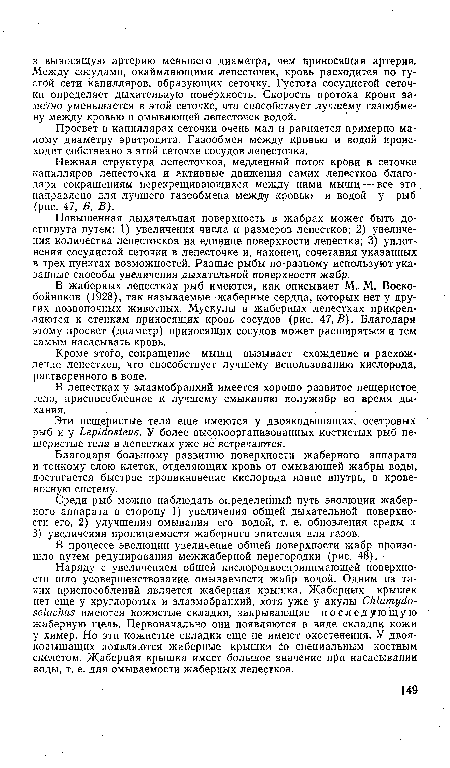 Просвет в капиллярах сеточки очень мал и равняется примерно малому диаметру эритроцита. Газообмен между кровью и водой происходит собственно в этой сеточке сосудов лепесточка.