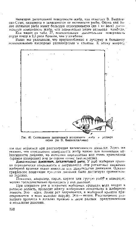 Соотношение дыхательной поверхности жабр и размера окуня (по В. Бишковска-Смик)