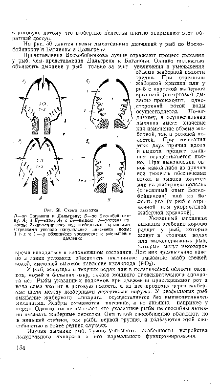 Схема дыхания