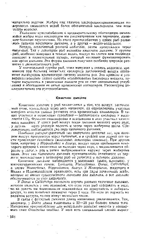 У Doras и Callichthys настолько хорошо развито кишечное дыхание, которое является у них основным, что если этих рыб содержать в воде, но не давать им возможности подниматься на поверхность и забирать воздух, то они погибают примерно через 2 часа. Но если их держать во влажном воздухе, то они живут несколько часов.