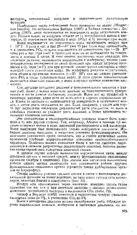 Вьюн поднимается на поверхность воды заглатывать воздух при: t= 10° 2—3 раза в час, а при 25—30° уже 19 раз. Если воду прокипятить, т. е. уменьшить Р02, то вьюн поднимается на поверхность при t = 25—2,7°’ один раз в час. При t=5° в проточной воде он йе поднимался на поверхность в течение 8 часов. В этих опытах достаточно ясно показано, что-кишечное дыхание, являющееся дополнением к жаберному, вполне удовлетворительно справляется со своей функцией при малых запросах организма в 02 (при t = 5°) или при высокой концентрации кислорода в окружающей среде .(проточная вода). Но жаберного дыхания недостаточно, если обмен в организме повышен (t == 25—30°) или же сильно уменьшилось Р02 в среде (прокипяченная вода). В этом случае дополнительно включается кишечное дыхание, и вьюн получает нужное количество кислорода.