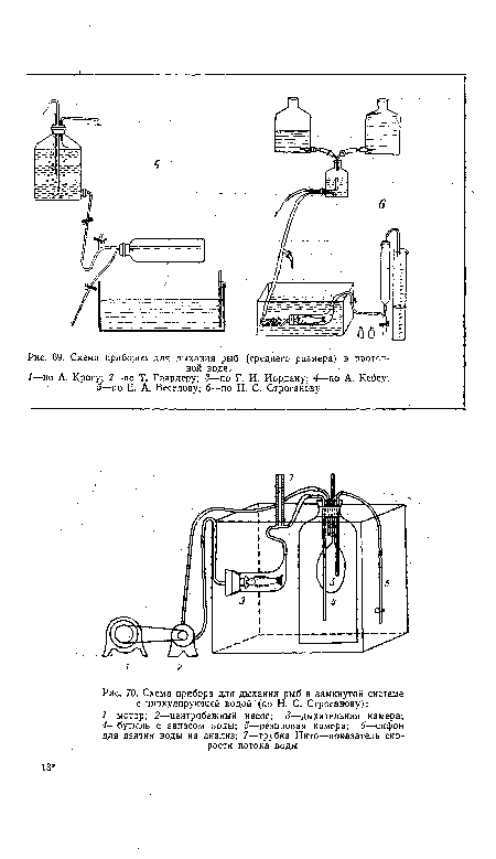 Схема прибора для дыхания рыб в замкнутой системе с циркулирующей водой (по Н. С. Строганову)