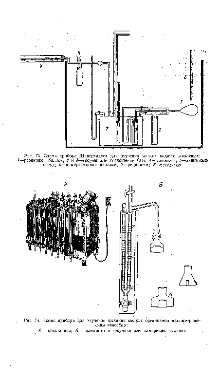 Схема прибора для изучения дыхания мелких организмов манометрическим способом